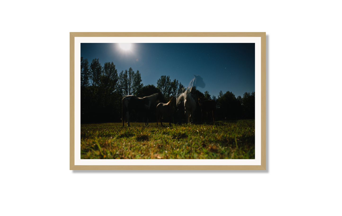 Harvest Moon