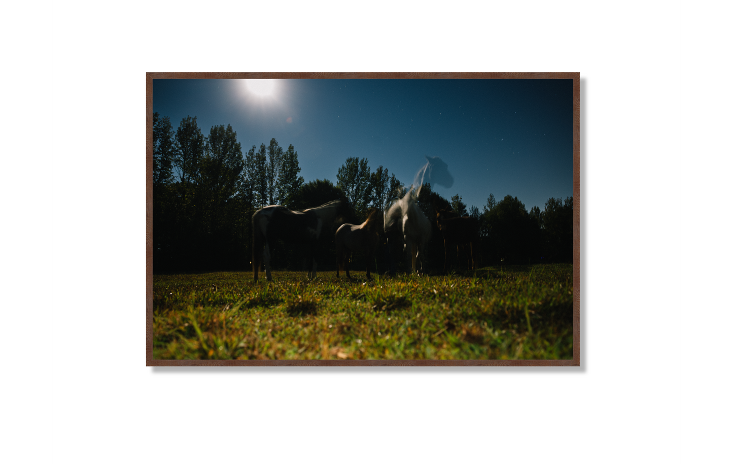 Harvest Moon