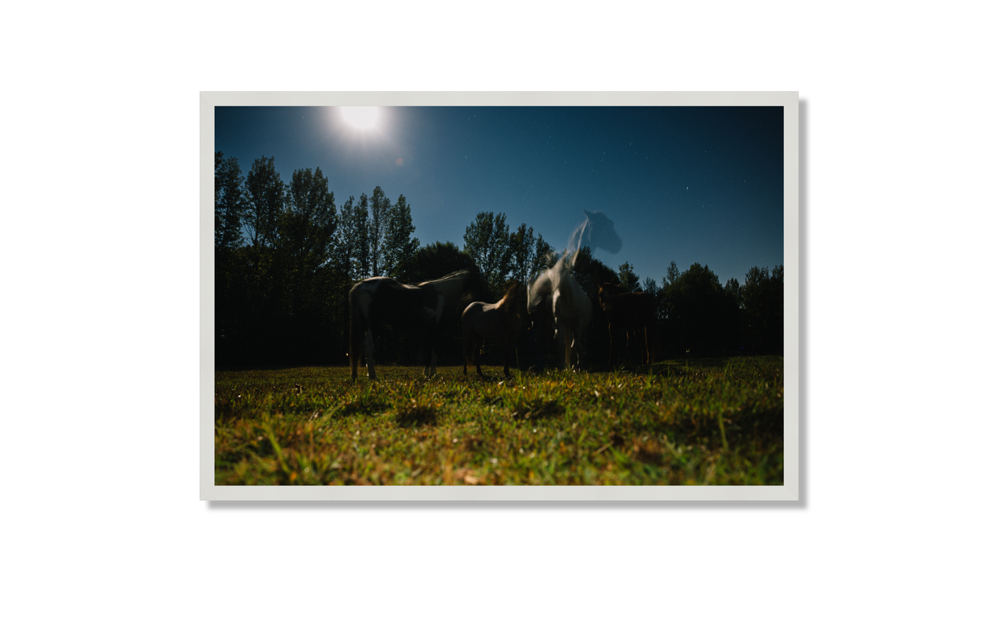 Harvest Moon