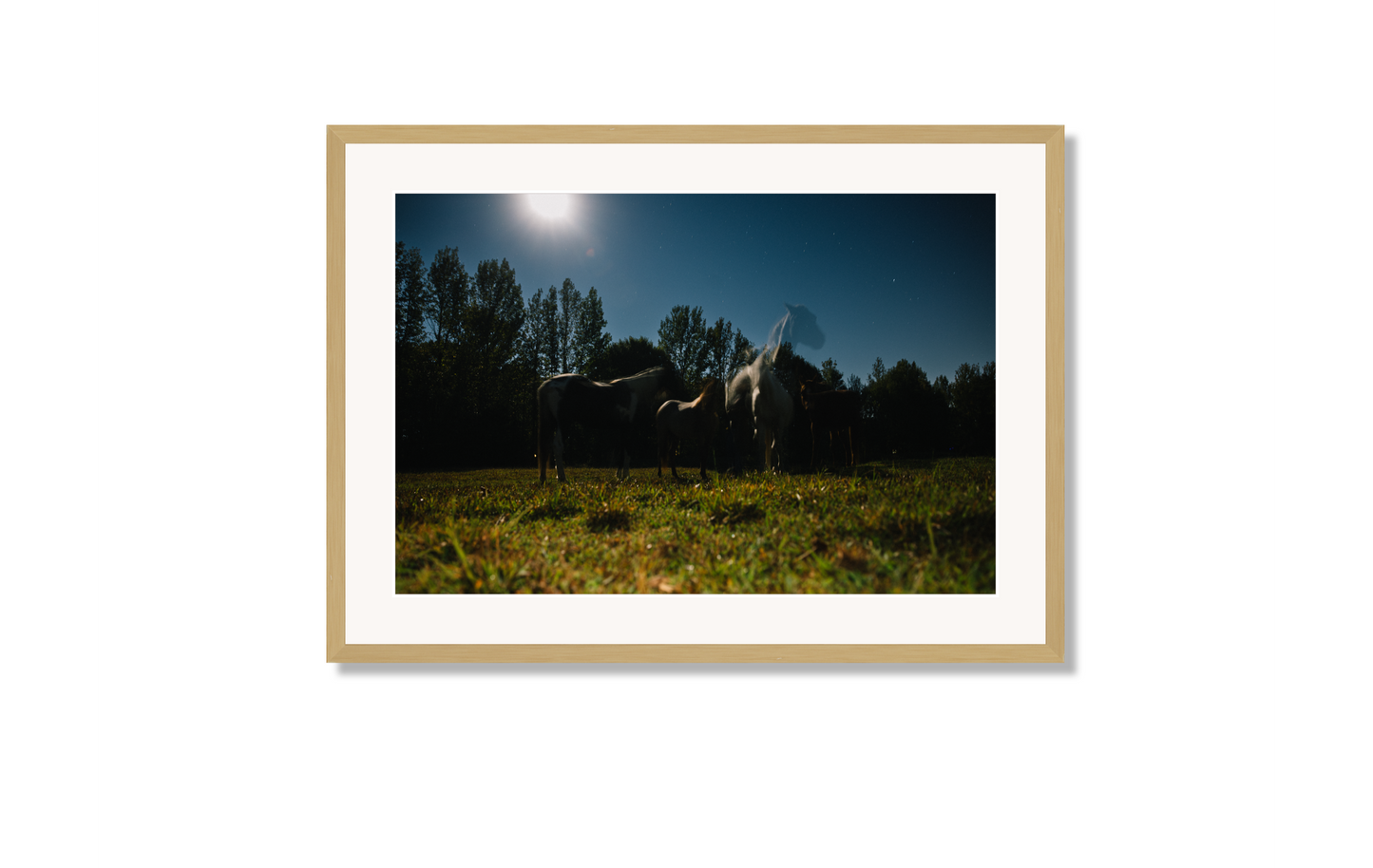 Harvest Moon