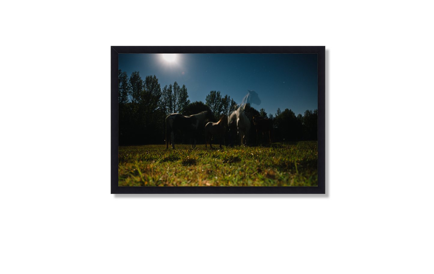 Harvest Moon