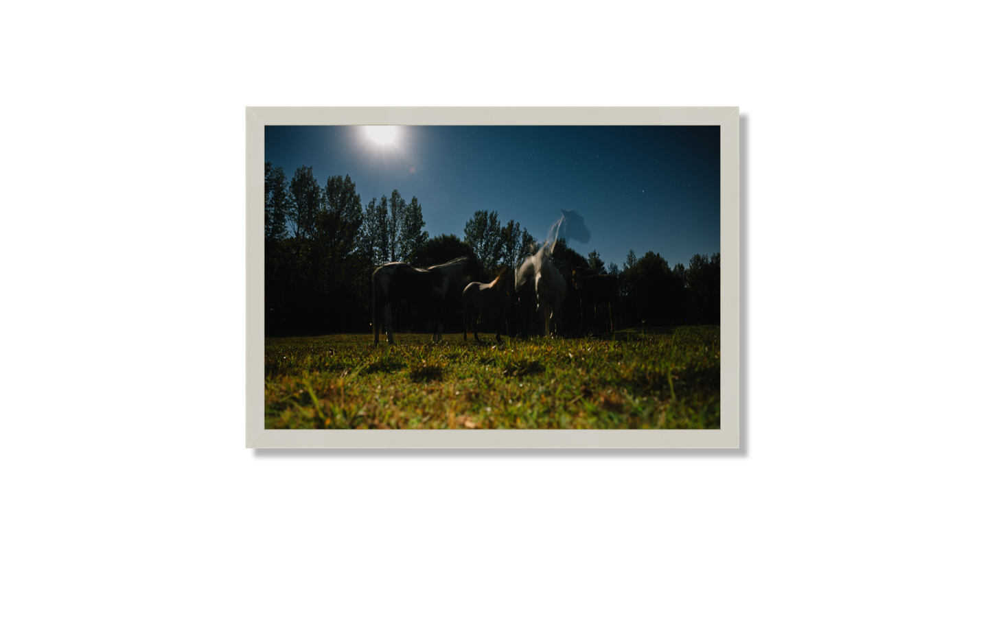 Harvest Moon