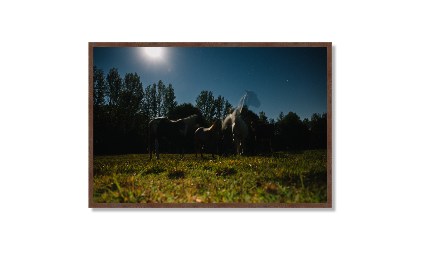 Harvest Moon