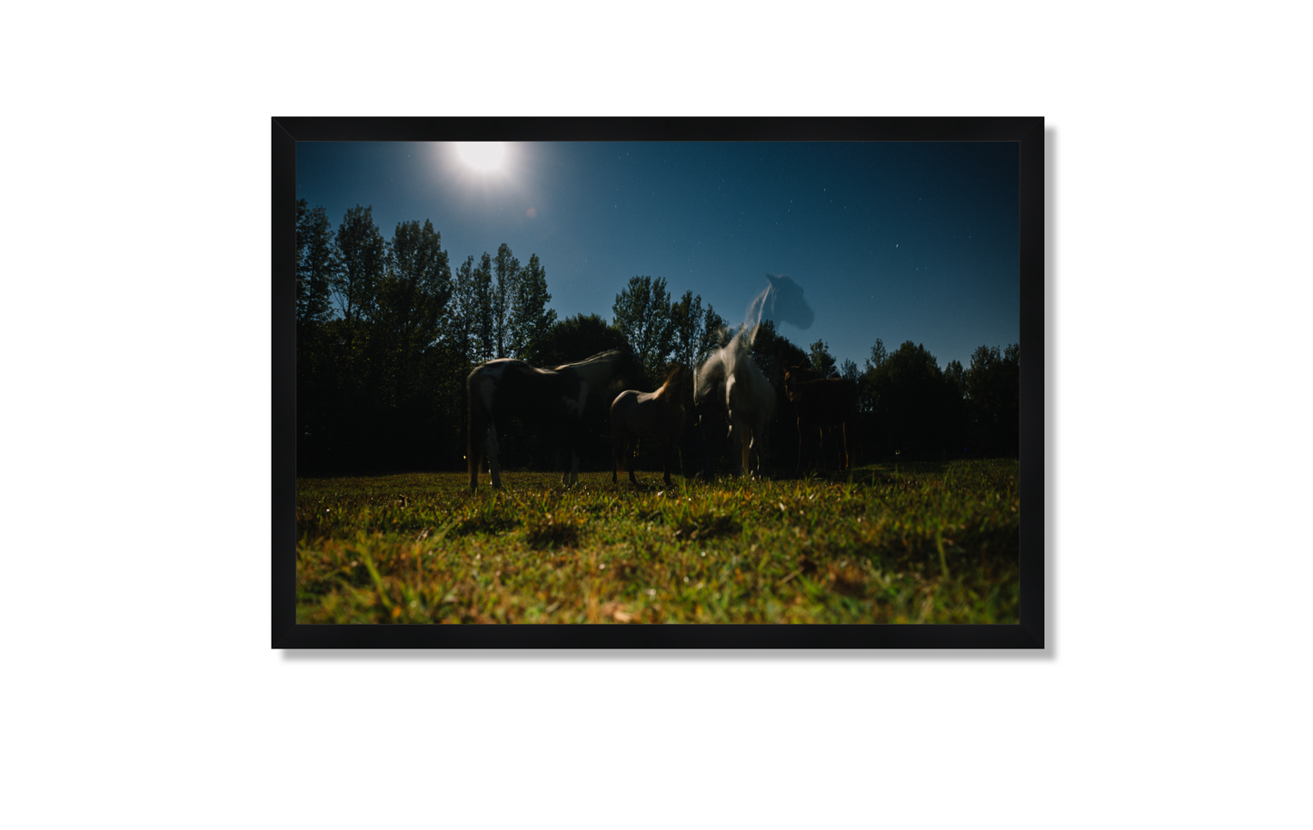 Harvest Moon