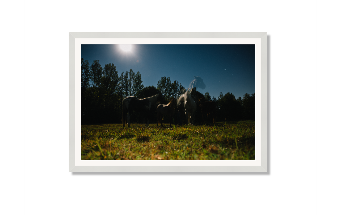 Harvest Moon