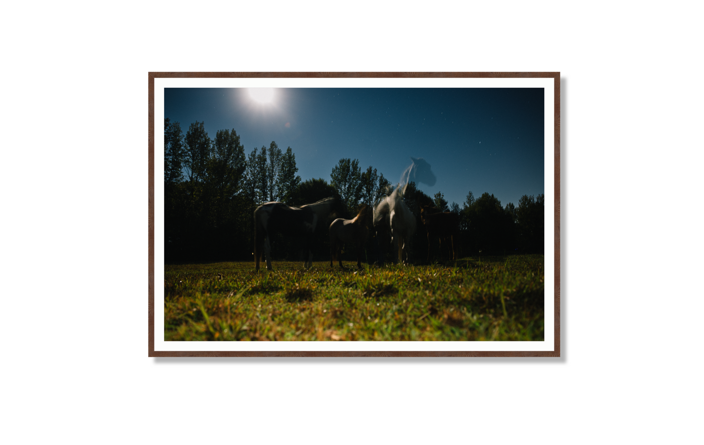 Harvest Moon