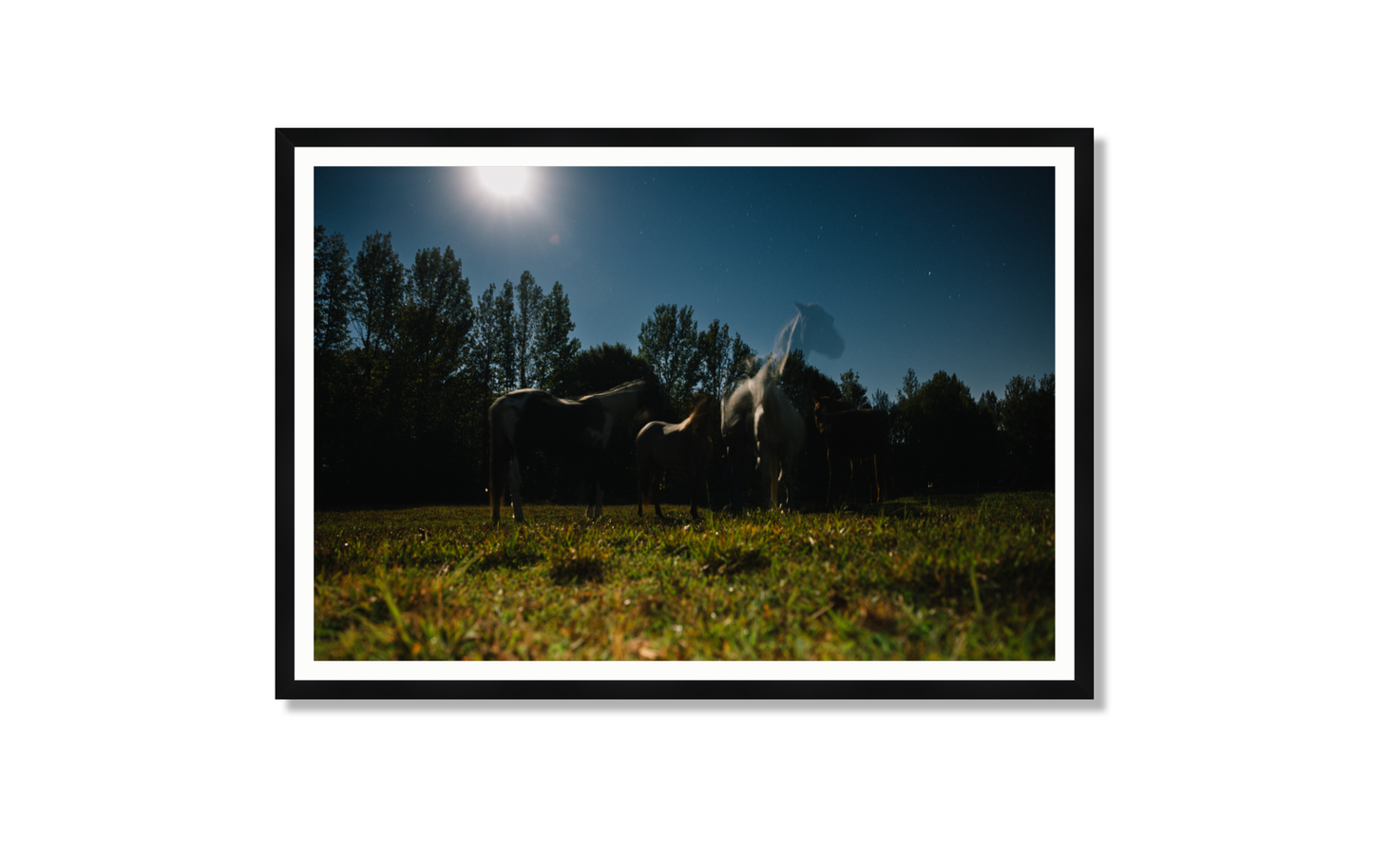 Harvest Moon