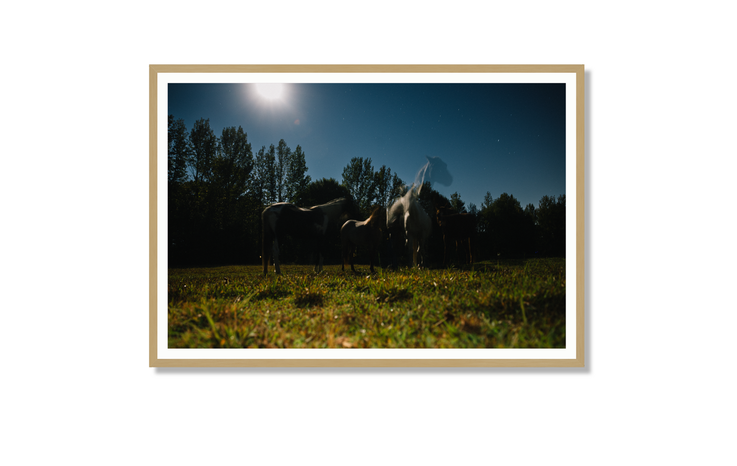 Harvest Moon