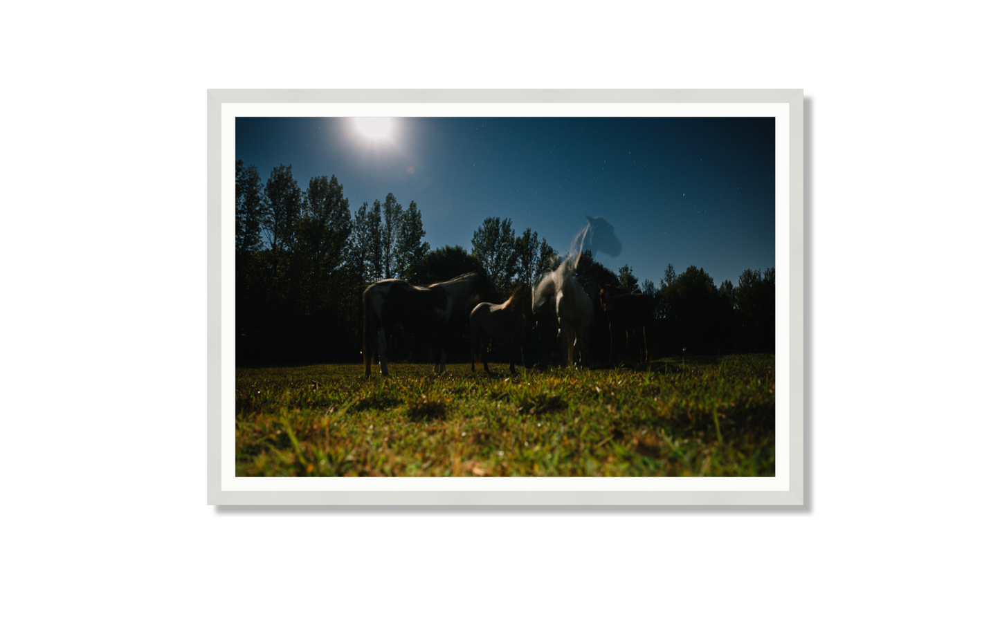 Harvest Moon