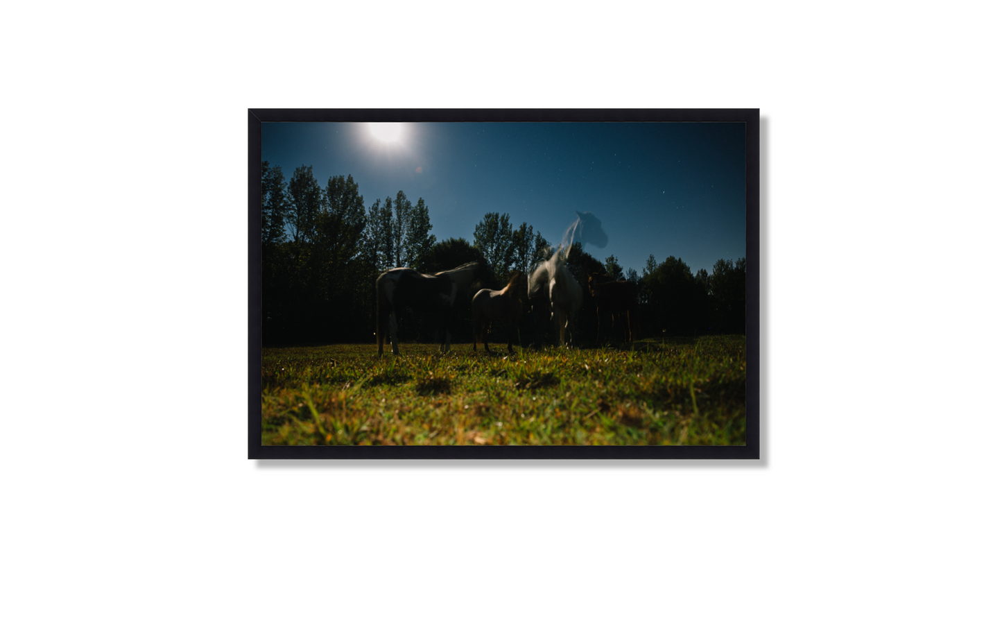 Harvest Moon