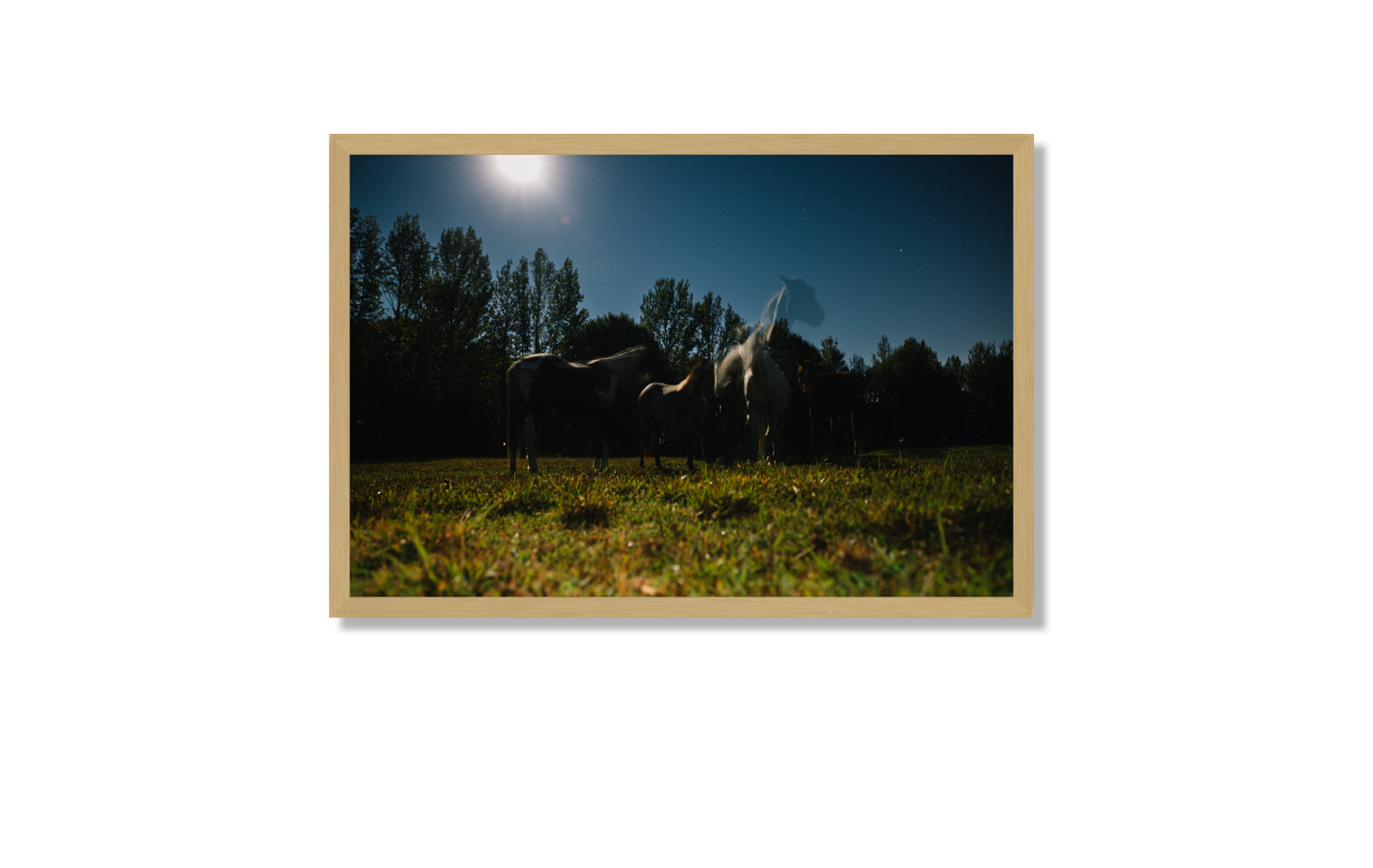 Harvest Moon