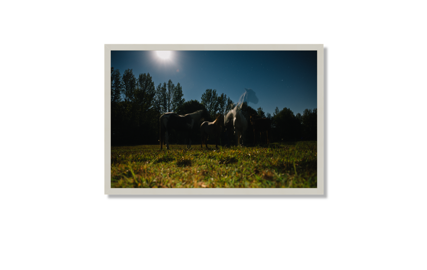 Harvest Moon
