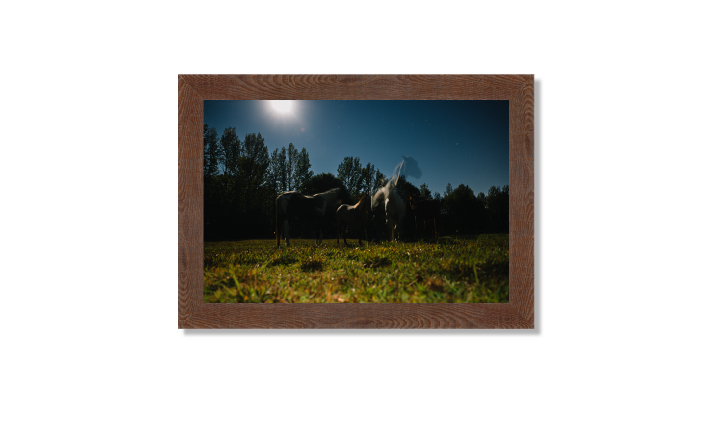 Harvest Moon