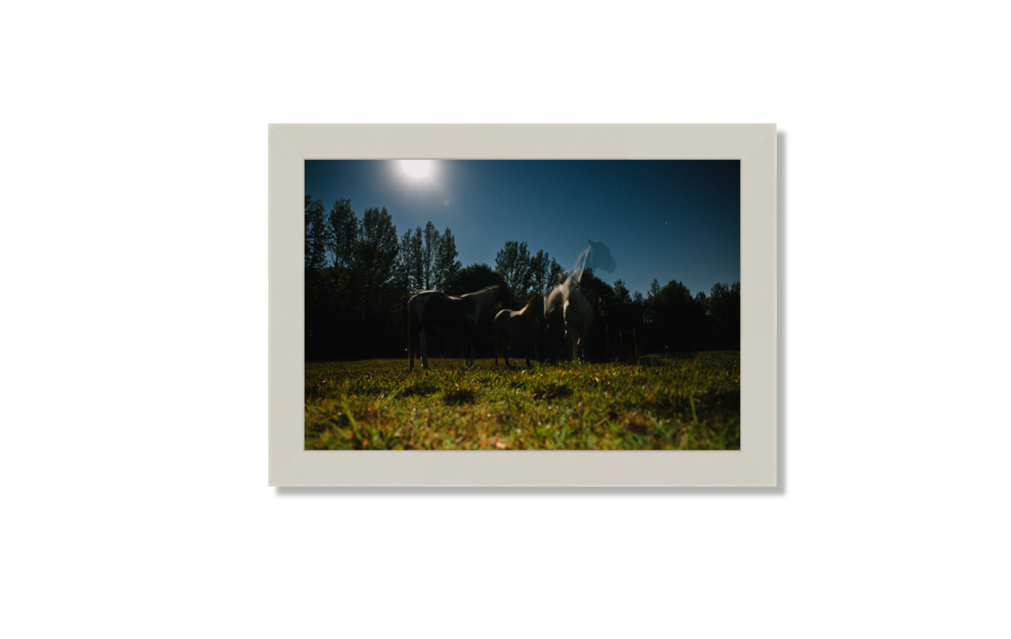 Harvest Moon